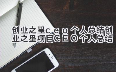 创业之星ceo个人总结 创业之星项目CEO个人总结
