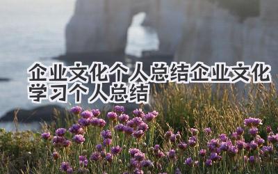 企业文化个人总结 企业文化学习个人总结