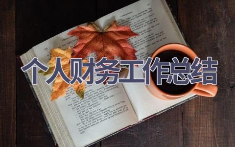 2023个人财务工作总结范文(16篇）