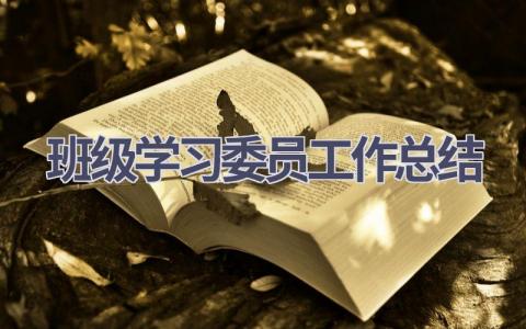 班级学习委员工作总结范文(12篇）