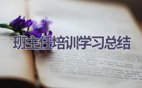 班主任培训学习总结范文(19篇）