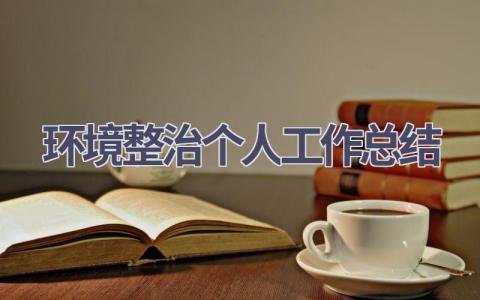 环境整治个人工作总结范文(17篇）