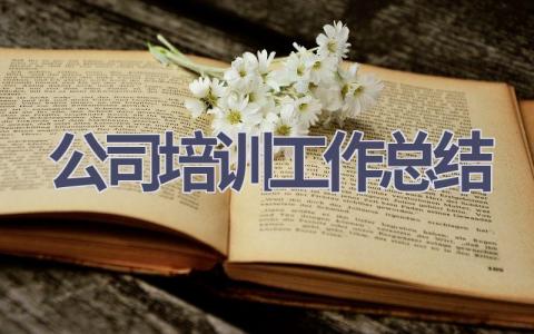 公司培训工作总结范文(11篇）