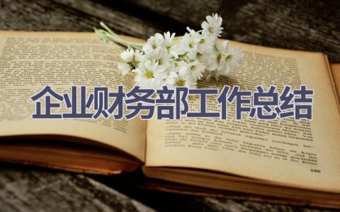 企业财务部工作总结范文(20篇）