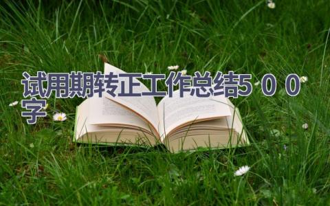 试用期转正工作总结500字范文(16篇）