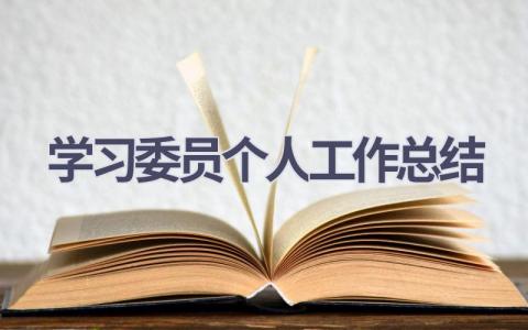 学习委员个人工作总结范文(11篇）