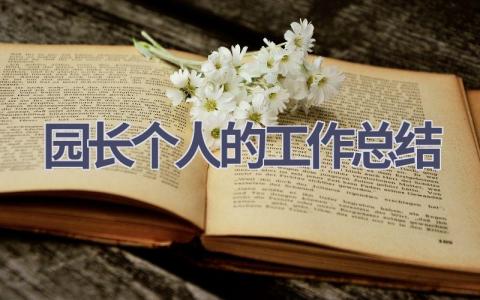 园长个人的工作总结范文(9篇）