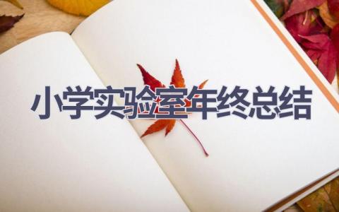 小学实验室年终总结范文(12篇）