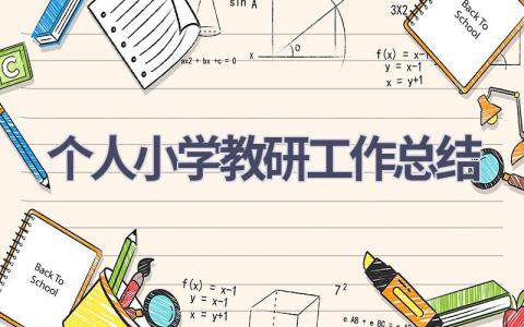 个人小学教研工作总结范文(21篇）