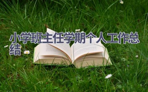 小学班主任学期个人工作总结范文(16篇）