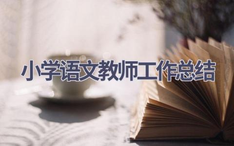 小学语文教师工作总结范文(6篇）