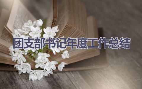 团支部书记年度工作总结范文(14篇）