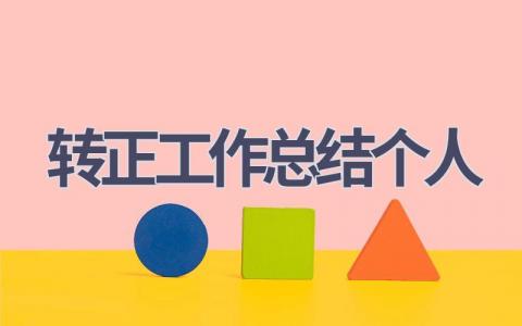 转正工作总结个人范文(20篇）