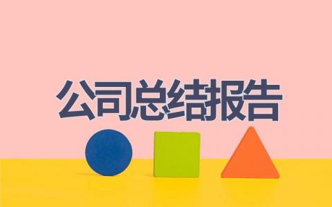 公司总结报告范文(18篇）