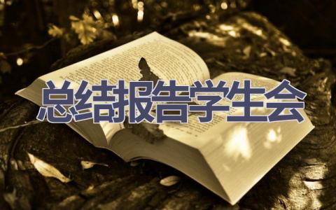 总结报告学生会范文(18篇）