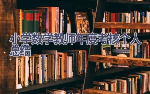 小学数学教师年度考核个人总结范文(21篇）