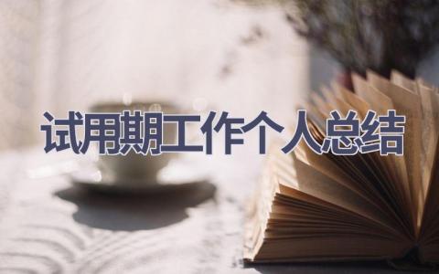 试用期工作个人总结范文(21篇）