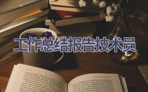 工作总结报告技术员范文(15篇）