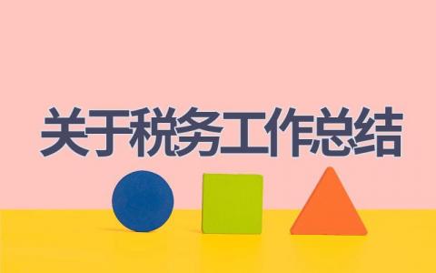 关于税务工作总结范文(18篇）