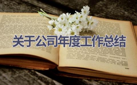 关于公司年度工作总结范文(17篇）