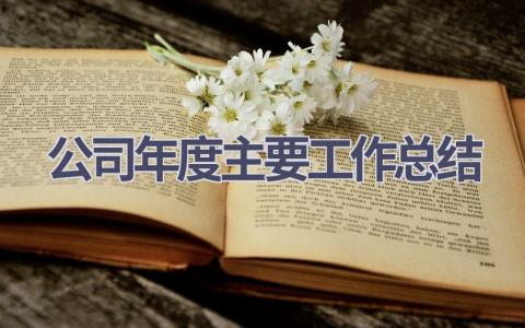 公司年度主要工作总结范文(17篇）