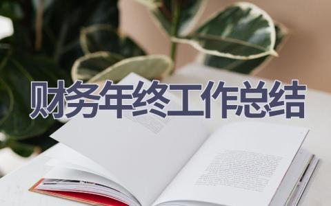 2023年财务年终工作总结范文(14篇）