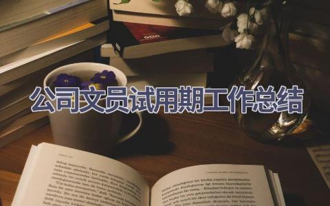 公司文员试用期工作总结范文(17篇）