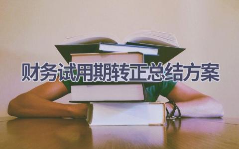 财务试用期转正总结方案范文(17篇）