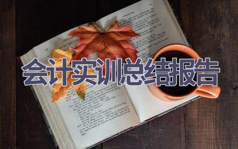 会计实训总结报告范文(8篇）