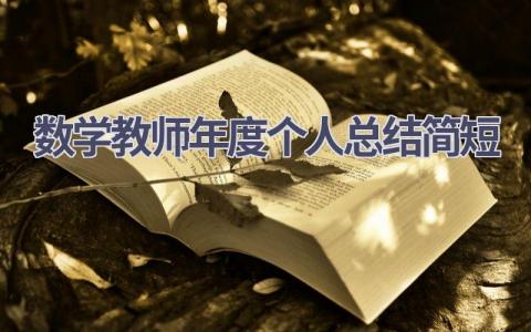 数学教师年度个人总结简短范文(15篇）