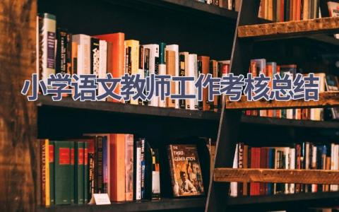 小学语文教师工作考核总结范文(17篇）