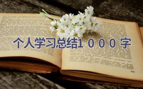 个人学习总结1000字范文(5篇）