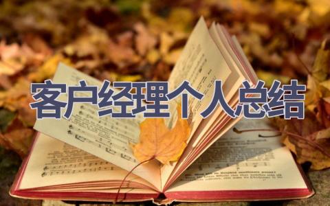 客户经理个人总结范文(15篇）