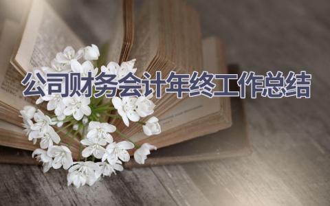 公司财务会计年终工作总结范文(9篇）