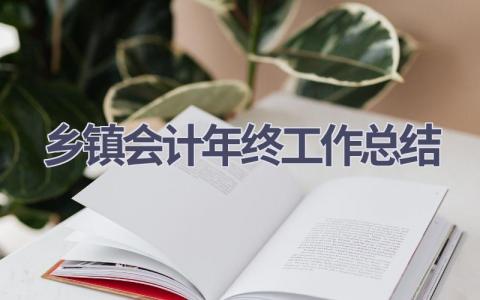 乡镇会计年终工作总结范文(6篇）