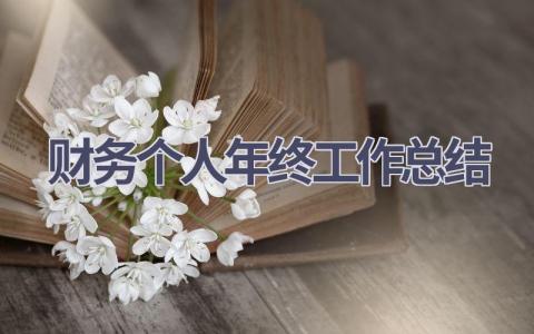 2023财务个人年终工作总结范文(12篇）