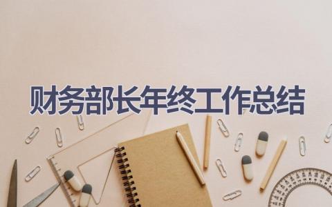 财务部长年终工作总结范文(19篇）