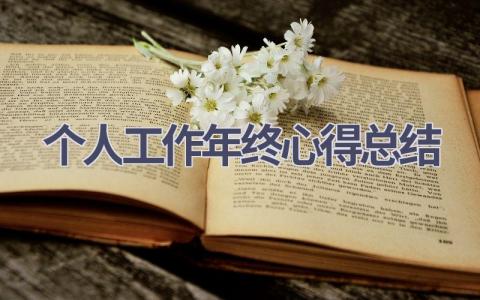 个人工作年终心得总结范文(20篇）