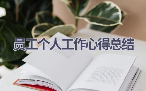 员工个人工作心得总结范文(18篇）