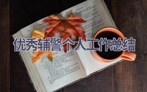 优秀辅警个人工作总结范文(12篇）