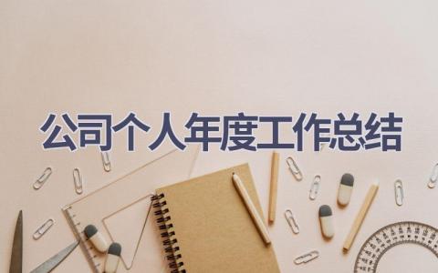 2023公司个人年度工作总结范文(15篇）