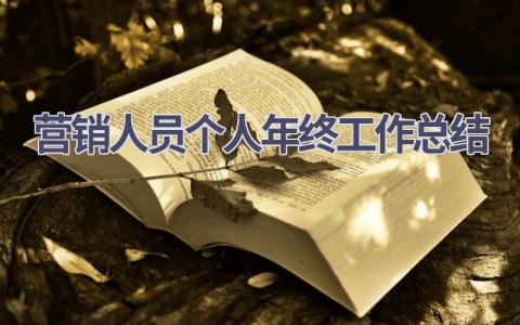 营销人员个人年终工作总结范文(15篇）