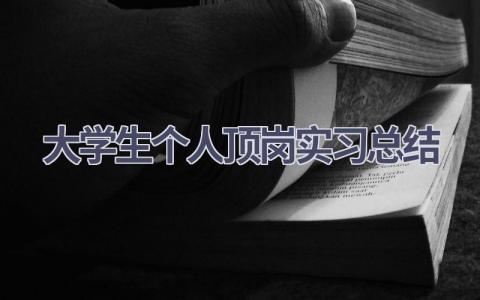 大学生个人顶岗实习总结范文(6篇）