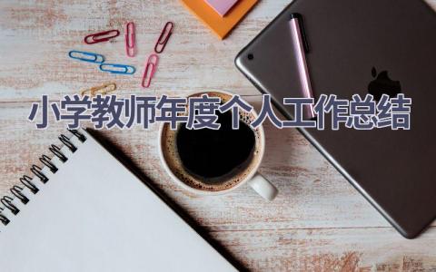 小学教师年度个人工作总结范文(16篇）