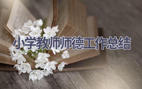 小学教师师德工作总结范文(15篇）