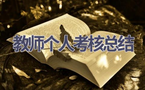 教师个人考核总结范文(17篇）