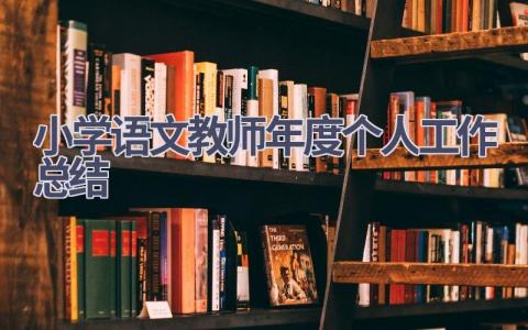 小学语文教师年度个人工作总结范文(19篇）