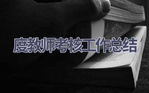 2023年度教师考核工作总结范文(13篇）