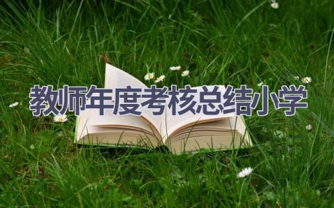 教师年度考核总结小学范文(20篇）