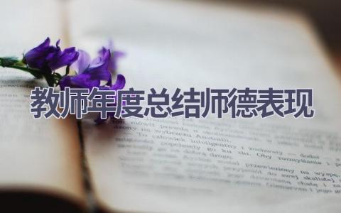 教师年度总结师德表现范文(16篇）